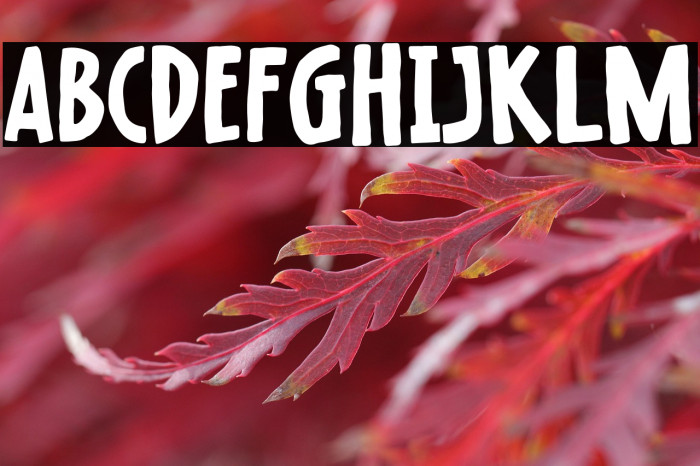 Raisin Muffin Example 2