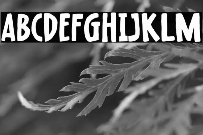 Raisin Muffin フォント examples