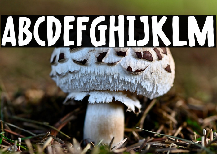 Raisin Muffin Example 3