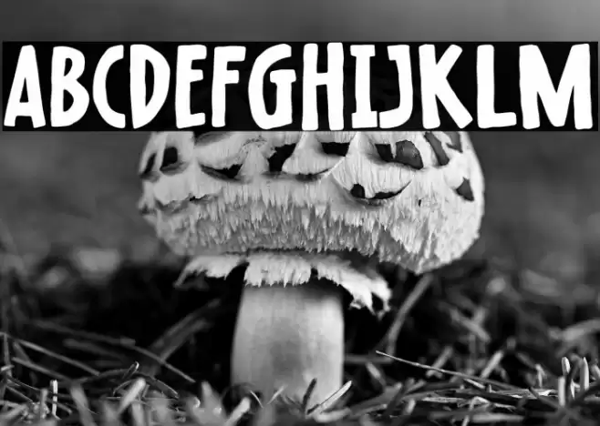 Raisin Muffin フォント examples