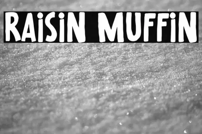 Raisin Muffin Font examples