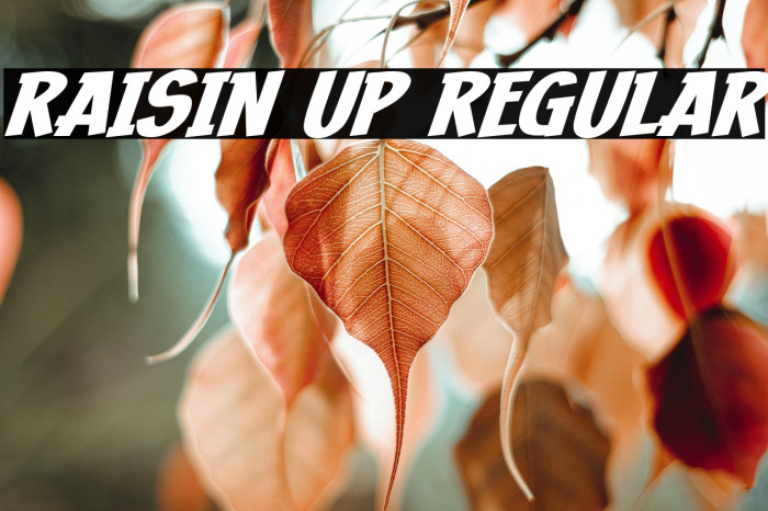 Raisin Up Regular Example 1