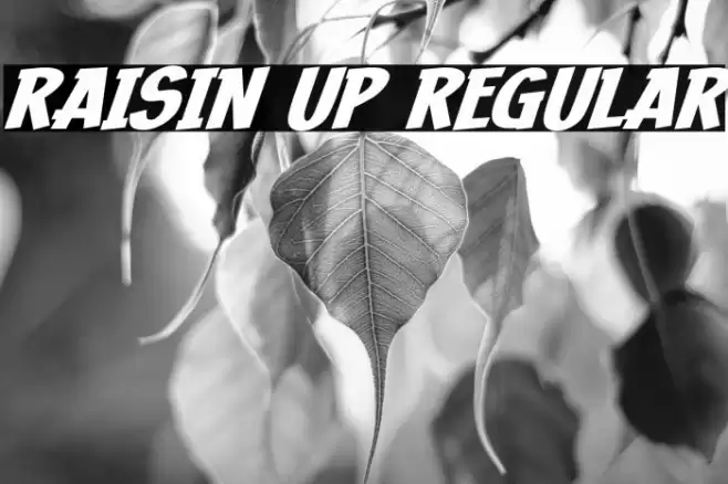 Raisin Up Regular Font examples