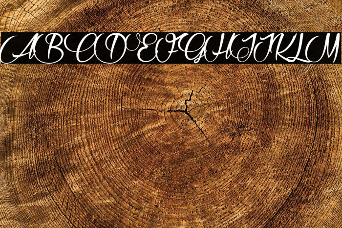 Raisin des Sables_PersonalUseOnly Example 2