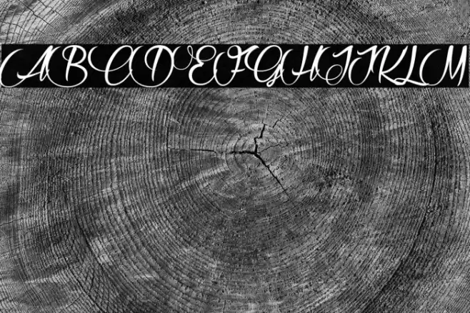 Raisin des Sables_PersonalUseOnly Font examples