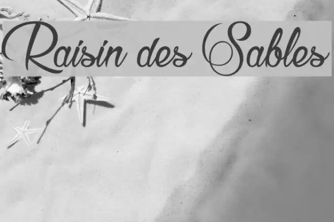 Raisin des Sables Font examples