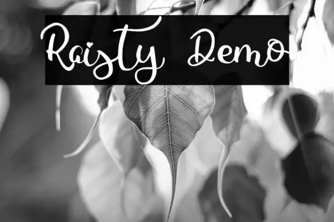 Raisty Demo Font examples