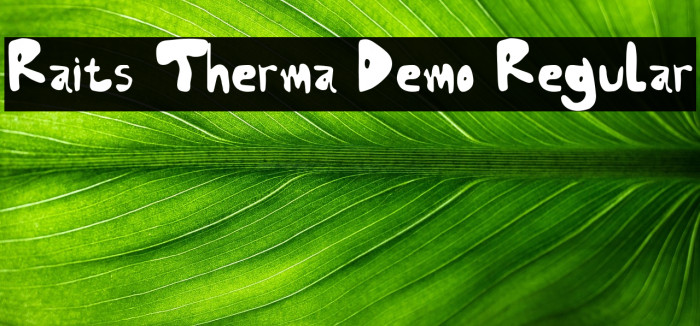 Raits Therma Demo Regular Example 1