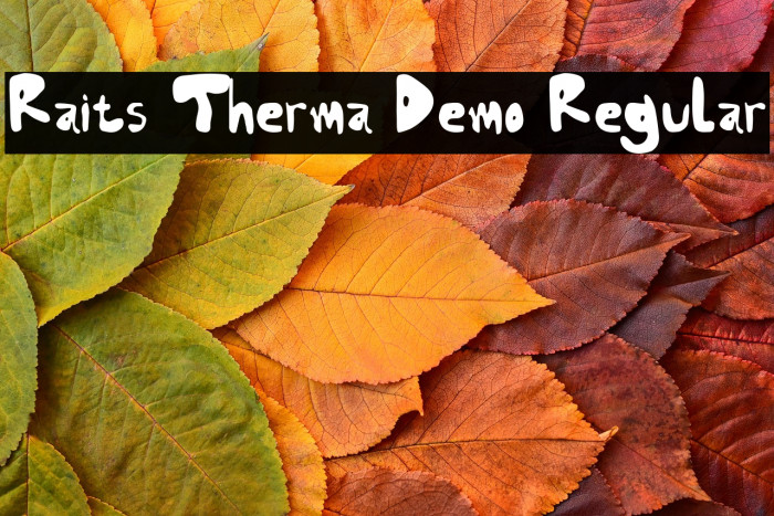 Raits Therma Demo Regular Example 3