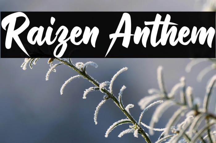 Raizen Anthem Example 2