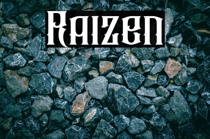 Raizen Example 1