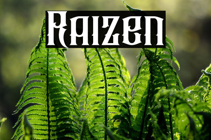 Raizen Example 2