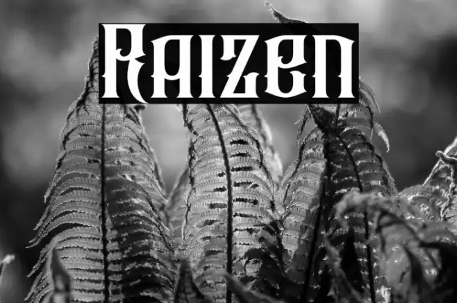 Raizen Font examples