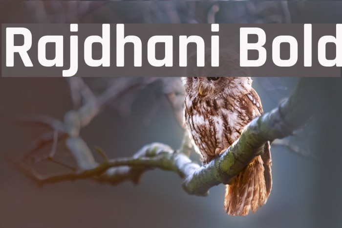 Rajdhani Bold Font examples