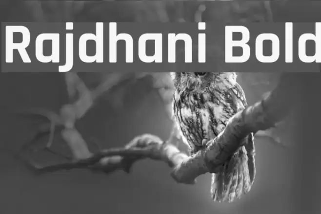 Rajdhani Bold Шрифта examples