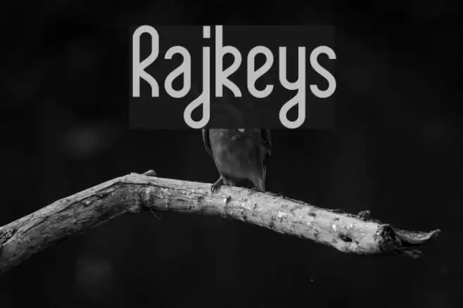 Rajkeys Font examples