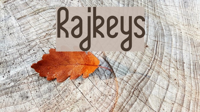 Rajkeys Example 2