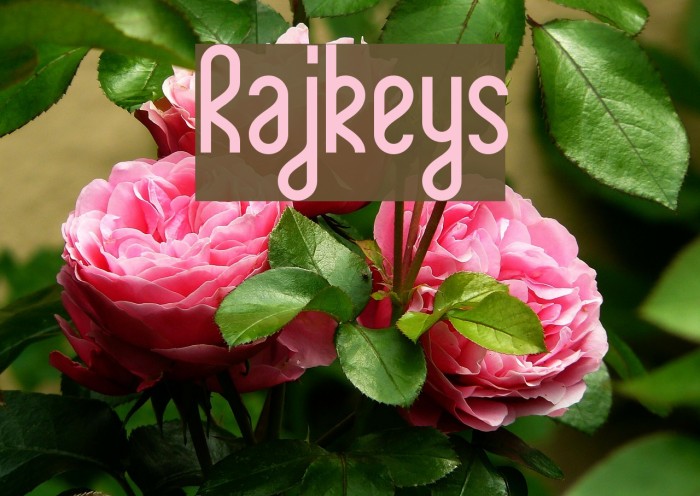 Rajkeys Example 3