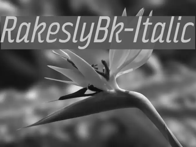 RakeslyBk-Italic Font examples