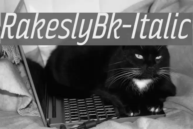 RakeslyBk-Italic Font examples