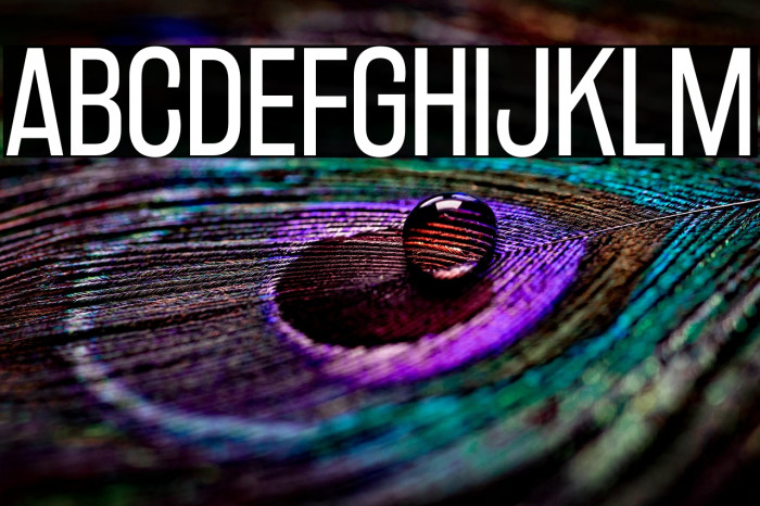 RakeslyBk-Regular Example 1