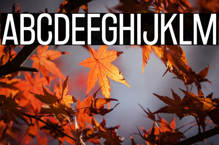 RakeslyBk-Regular Example 3