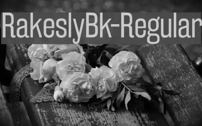 RakeslyBk-Regular Font examples