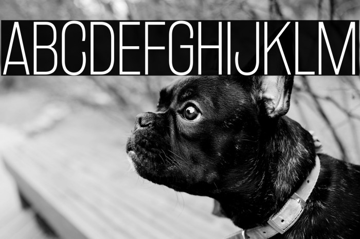 RakeslyEl-Regular Example 3