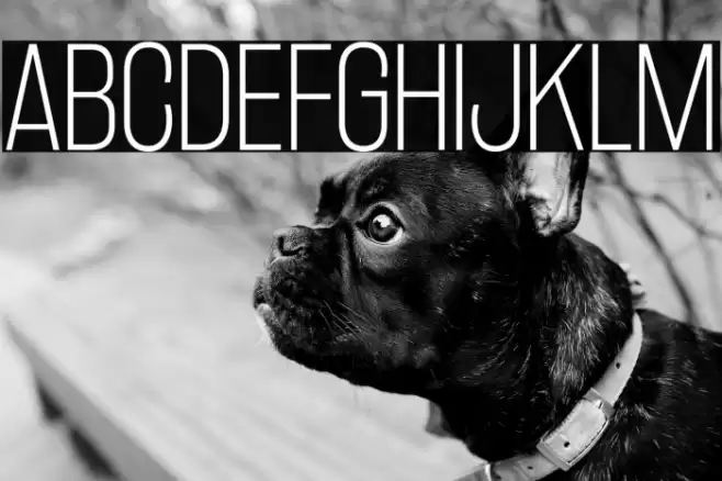 RakeslyEl-Regular Font examples