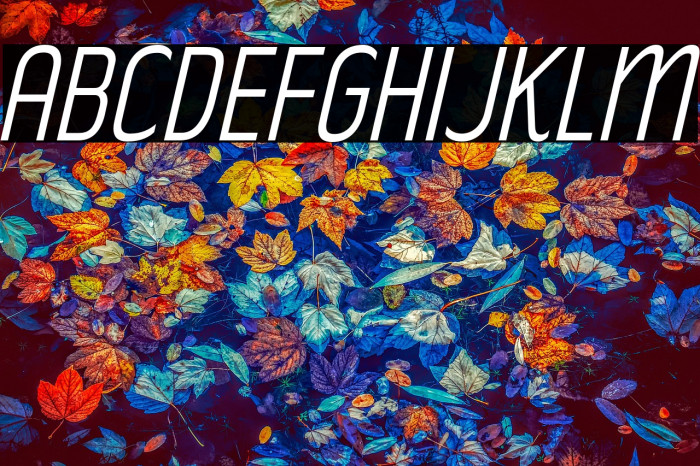 RakeslyLt-Italic Example 3