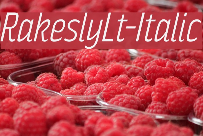 RakeslyLt-Italic Font examples