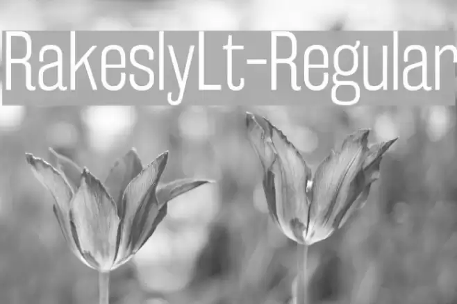 RakeslyLt-Regular Font examples