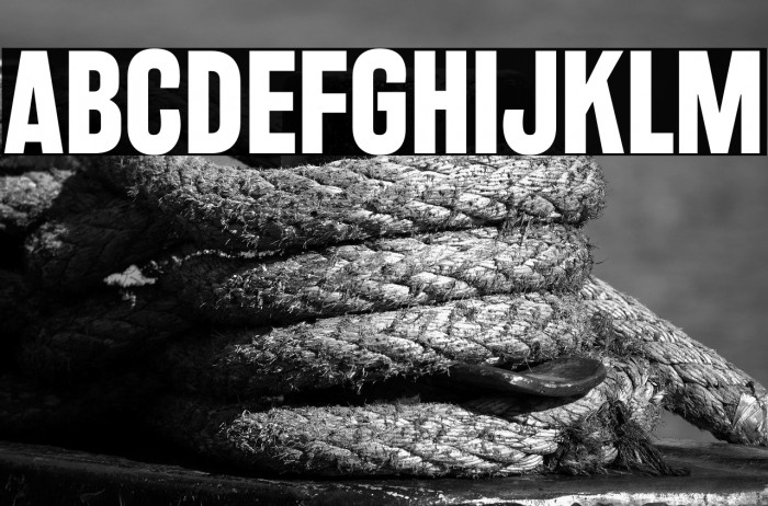 RakeslyRg-Bold Example 2