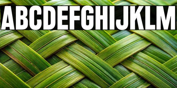 RakeslyRg-Bold Example 3