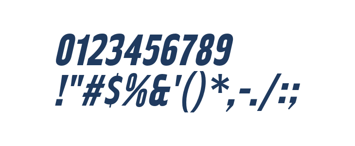 RakeslyRg-BoldItalic Other Characters