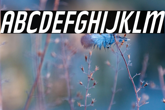 RakeslyRg-Italic Example 1