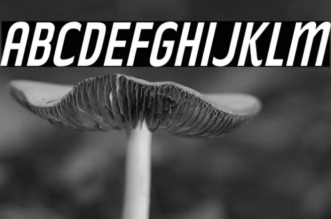 RakeslyRg-Italic Font examples