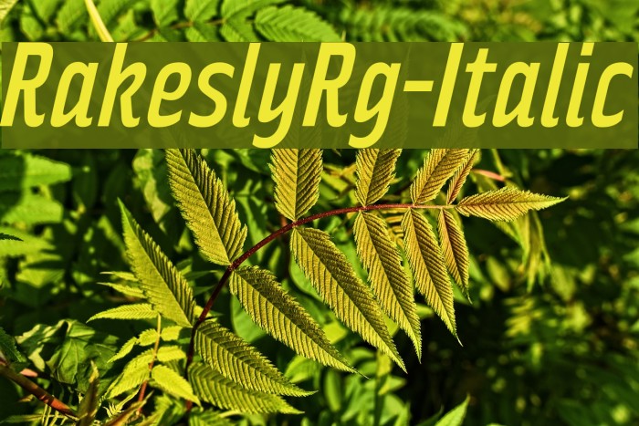 RakeslyRg-Italic Font examples