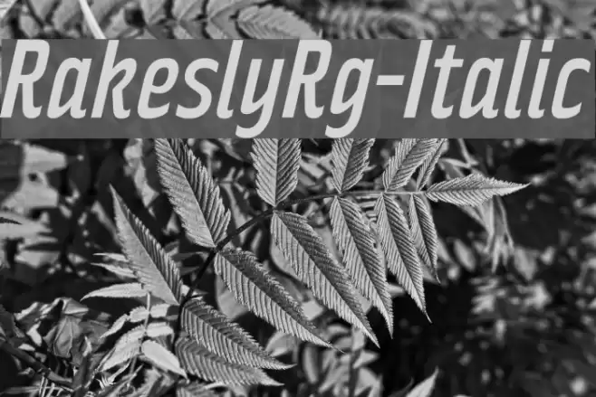 RakeslyRg-Italic फ़ॉन्ट examples
