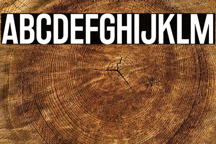 RakeslyRg-Regular Example 3