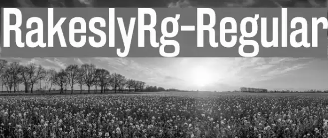 RakeslyRg-Regular Font examples
