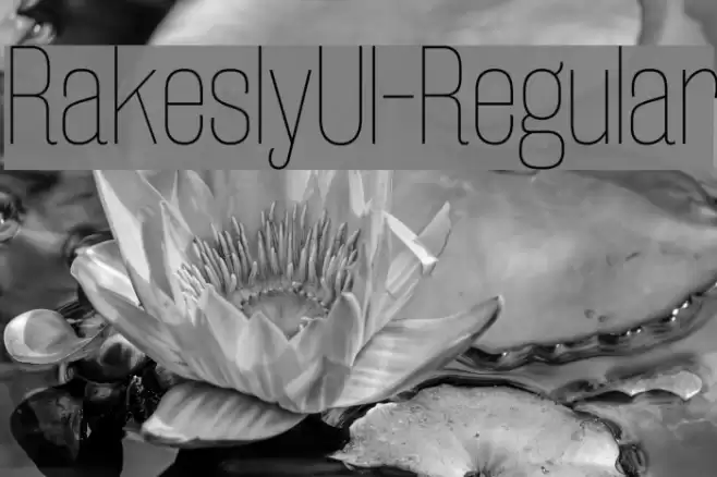 RakeslyUl-Regular Font examples
