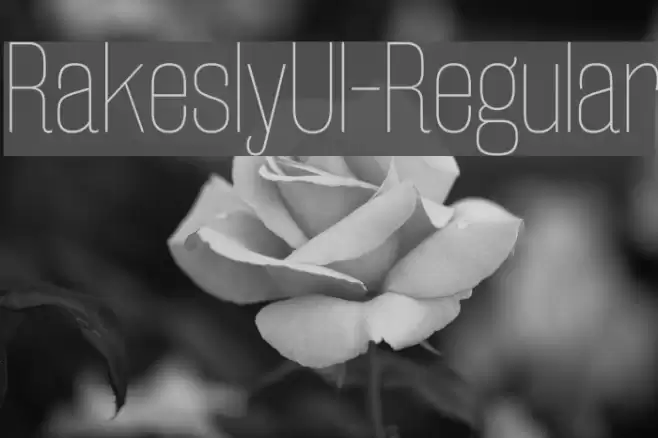 RakeslyUl-Regular Font examples