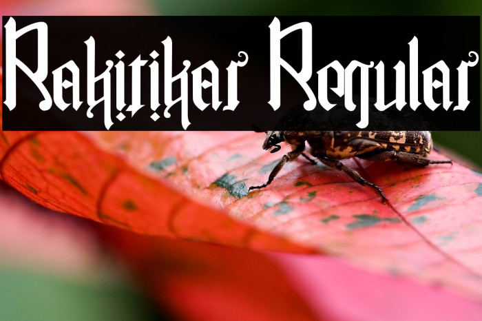 Rakitikar Regular Example 2