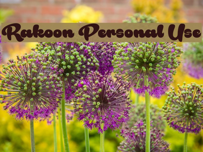 Rakoon Personal Use Font examples