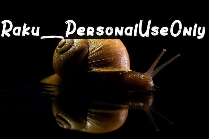 Raku_PersonalUseOnly Example 1