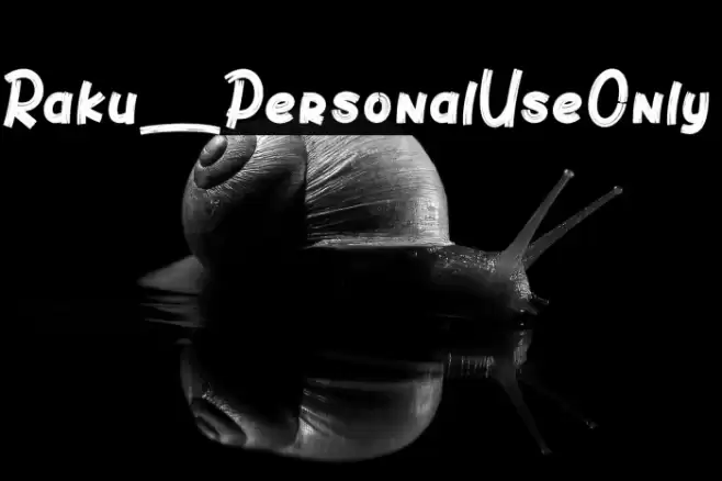 Raku_PersonalUseOnly Font examples