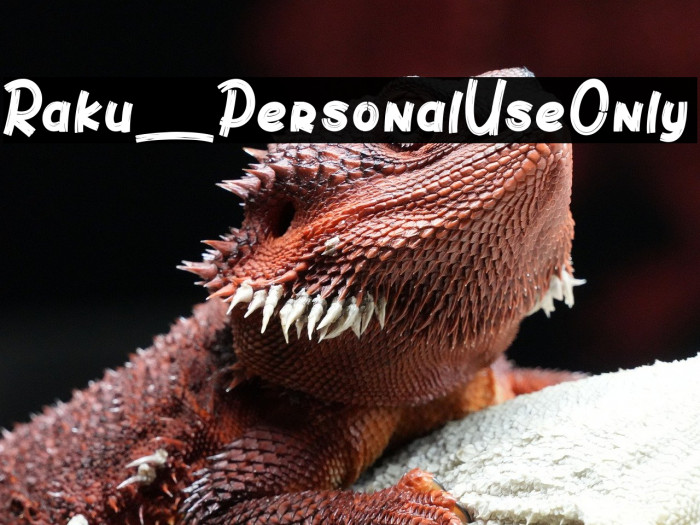 Raku_PersonalUseOnly Example 3