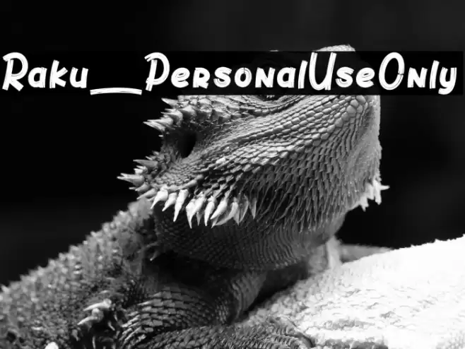 Raku_PersonalUseOnly Font examples