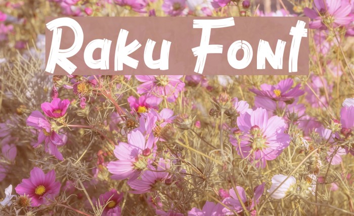 Raku Font examples